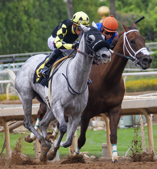 继续调整赛 继续调整赛