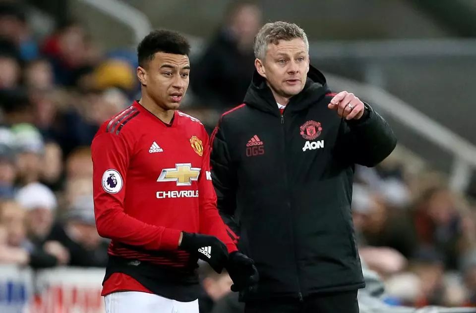 育场的看台 育场的看台